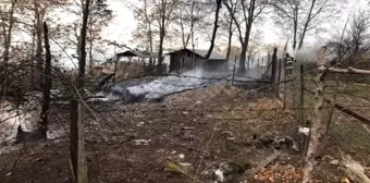 Yayla evinde yangın çıktı