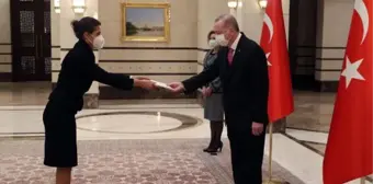 Cumhurbaşkanı Erdoğan, güven mektuplarını kabul etti