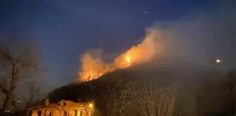 Son dakika haberi! Ordu'da ormanı yangını