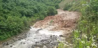 Doğu Karadeniz'de taşkınlara karşı 'Yarı Geçirgen Tersip Bendi'