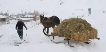 Bingöl'de besicilerin zorlu kış şartlarıyla mücadelesi