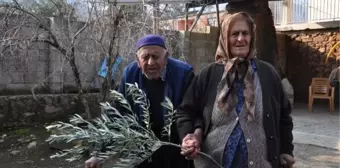 62 yıllık eşinin Sevgililer Günü'nü zeytin dalıyla kutladı