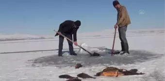 Yüzeyi buz kaplanan Nazik Gölü'nde balık avı