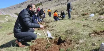 Derik'te, şehit Kaymakam Safitürk anısına 3 bin tohum