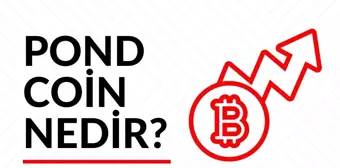 POND Coin nedir? Güncel Marlin (POND) Coin yorum ve grafiği