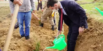 TOKAT'TA SAĞLIK ÇALIŞANLARI İÇİN 2 BİN FİDAN