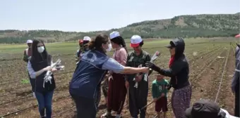 TARLADA ÇALIŞAN ANNELER UNUTULMADI