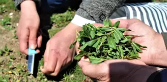 Onlarca çeşit yemeği yapılıyor, hepsi birbirinden dikkat çekiyor