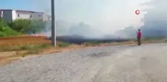 Son dakika haberleri... Buğday tarlasında çıkan yangın tarla sahibini gözyaşlarına boğdu