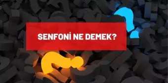 Senfoni ne demek? TDK'ya göre senfoni anlamı ne?