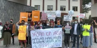 HAYVANSEVERLER, HAYVAN YASASI İÇİN PROTESTO EYLEMİ YAPTI