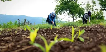 Kırsalın girişimci kadınları, bu projeyle daha da güçlendi