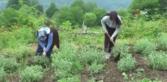 Kırsalın girişimci kadınları, bu projeyle daha da güçlendi