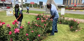 Erzincan Belediyesi Çalışmalarına Devam Ediyor