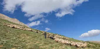 Huzura kavuşan Tunceli'nin doğal güzellikleri göz kamaştırıyor