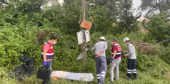 Samsun'da elektrik akımına kapılan kişi hayatını kaybetti