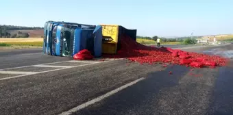 Biber yüklü tır devrildi: 1 yaralı