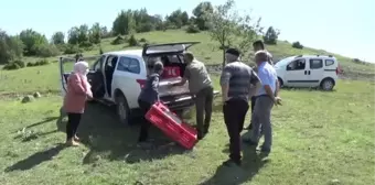 Popülasyonunun artırılması için doğaya 250 keklik salındı