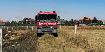 Silivri'de ot yangını