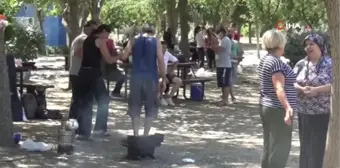 İzmirliler Pazar günü piknik alanı ve Kordon'a akın etti