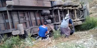 Tır şarampole devrildi: 3 kişi yaralandı, 160 küçükbaş hayvan telef oldu