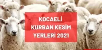 Kocaeli kurban kesim yerleri! 2021 Kocaeli (İzmit) kurbanlık satış yerleri, pazar yerleri ve kurban yerleri neresidir? Adres ve iletişim bilgileri!