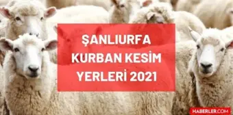 Şanlıurfa kurban pazar, kesim ve satış yerleri! 2021 Şanlıurfa kurbanlık pazar yerleri, satış yerleri ve kesim yerleri nerede? İletişim bilgileri!