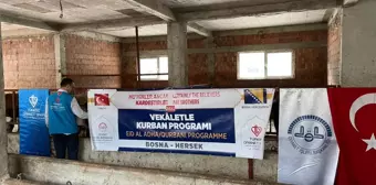 TDV'den Arnavutluk ve Bosna Hersek'te kurban kesimi