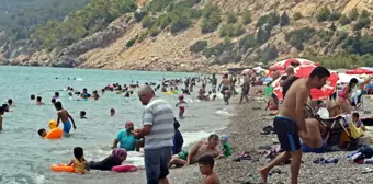 Tatilin son gününde sahil ve piknik alanlarında korkutan yoğunluk