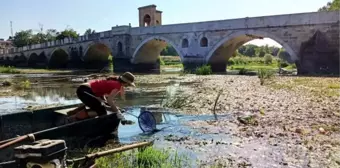 YOSUN VE ÇÖPLERLE KAPLANAN TUNCA NEHRİ'NDE ÇEVRECİLER TEMİZLİK YAPTI