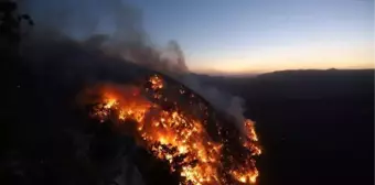 Aydıncık ve Gülnar'da çıkan orman yangınlarına müdahale sürüyor (3)