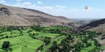 Mardin'in saklı cenneti: Gurs Vadisi doğasıyla hayran bırakıyor