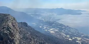 Mersin'deki orman yangınlarının tamamı kontrol altında