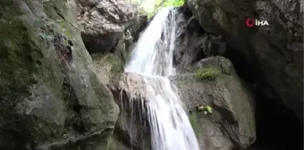 Amasya'nın serinleten saklı cenneti 'Aktaş Şelalesi'