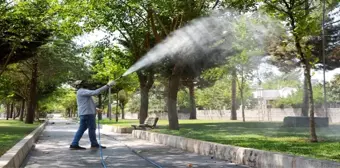 PARK VE YEŞİL ALANLARDAKİ AĞAÇLAR HASTALIĞA KARŞI İLAÇLANIYOR