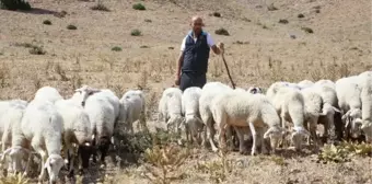 BEYİN KANAMASI GEÇİRİNCE 'YAŞAYAMAZ' DEDİLER, İŞKUR DESTEĞİYLE HAYATA TUTUNDU