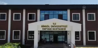 Hayvan hastanesi, bölgedeki besicilere ve hayvanlara derman olacak