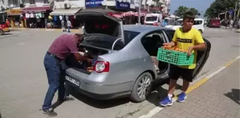 KASTAMONU - Ormandan topladığı mantarı afet mağduru öğrenciler için satıyor