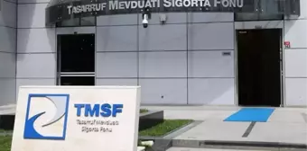 TMSF, Aynes Gıda'yı satışa çıkardı