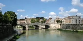 Roma'da Tiber Nehri'nde binlerce ölü balık: 'Nedeni kent sokaklarının pisliği olabilir'