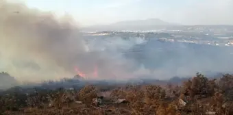 İzmir'de makilik alanda çıkan yangın kontrol altına alındı