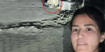 Otel yöneticisi, 'Bebiş' adını verdiği bozayının 10 metre yakınına gelip selfie çekti