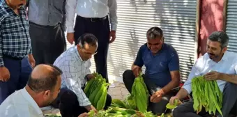 AK Parti heyeti Kahta'nın merkez ve köylerini gezdi