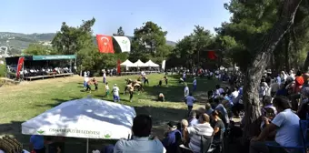 Osmangazi'den 'siyah incir'e yakışan festival