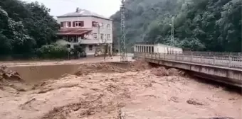 Giresun'da etkili olan yağış, sele neden oldu! Yüreklerin ağza geldiği anlar kamerada