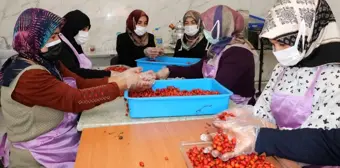 Kadınlar hem üretiyor hem de bütçelerine katkı sağlıyor