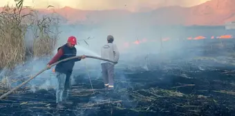 Karamık Gölü sazlık alan yangınını sülük toplayanların çıkardığı iddiası