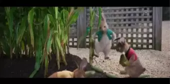 Sinema - Peter Rabbit: Kaçak Tavşan