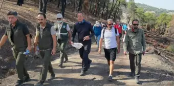 Osmaniye'de dağcılar orman yangınlarında zarar gören bölgede doğa yürüyüşü yaptı