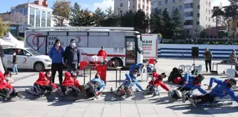 Tekerlekli Kızak Türkiye Şampiyonası, Erzurum'da düzenlenecek